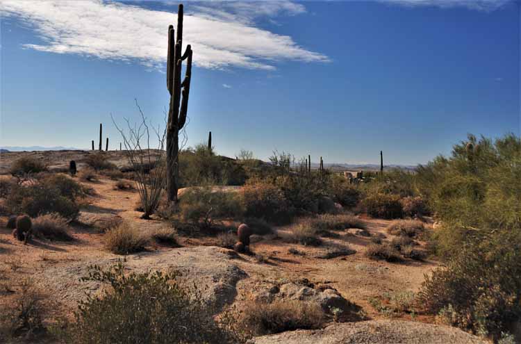 pinnacle peak